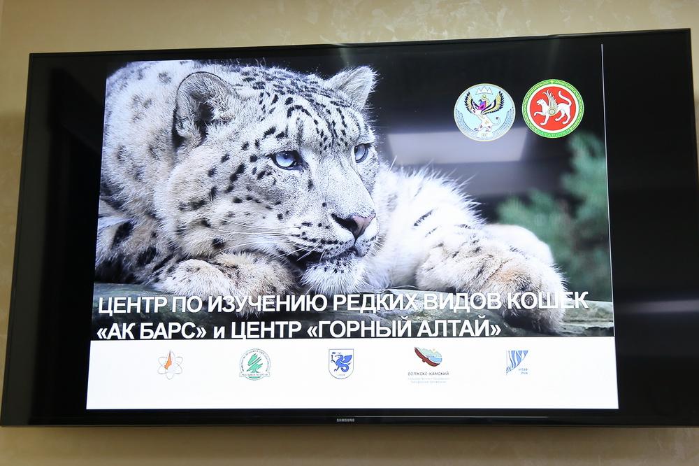 Директор СФНЦА РАН принял участие в рабочей встрече, в ходе которой обсуждалось создание  на территории Республики Алтай Центра сохранения, разведения и реабилитации редких видов млекопитающих