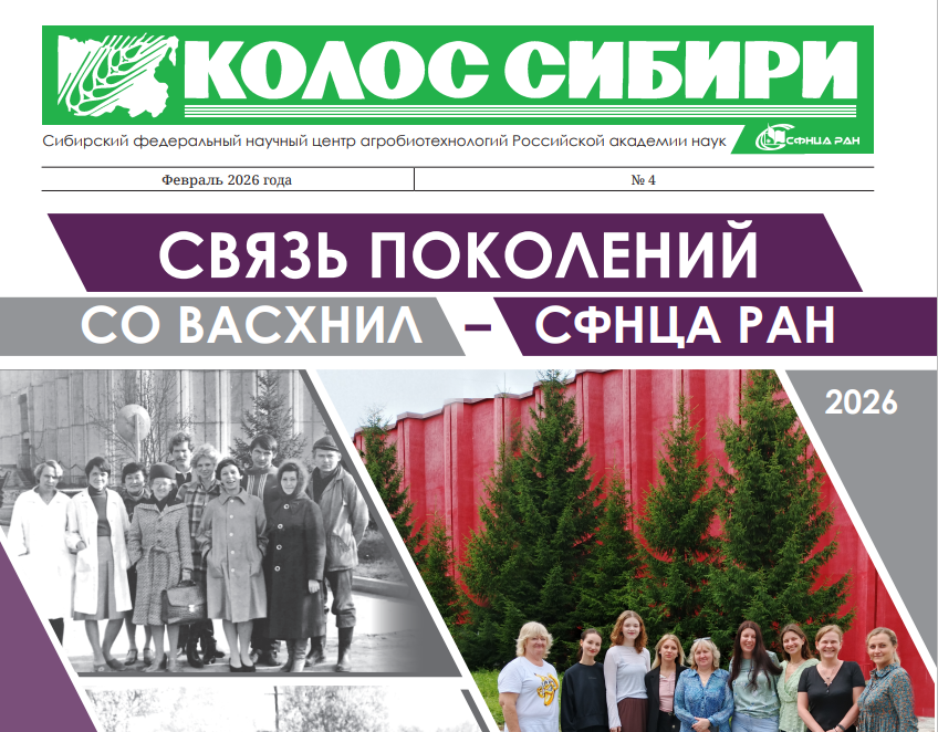 КОЛОС СИБИРИ №4 февраль 2026 г.