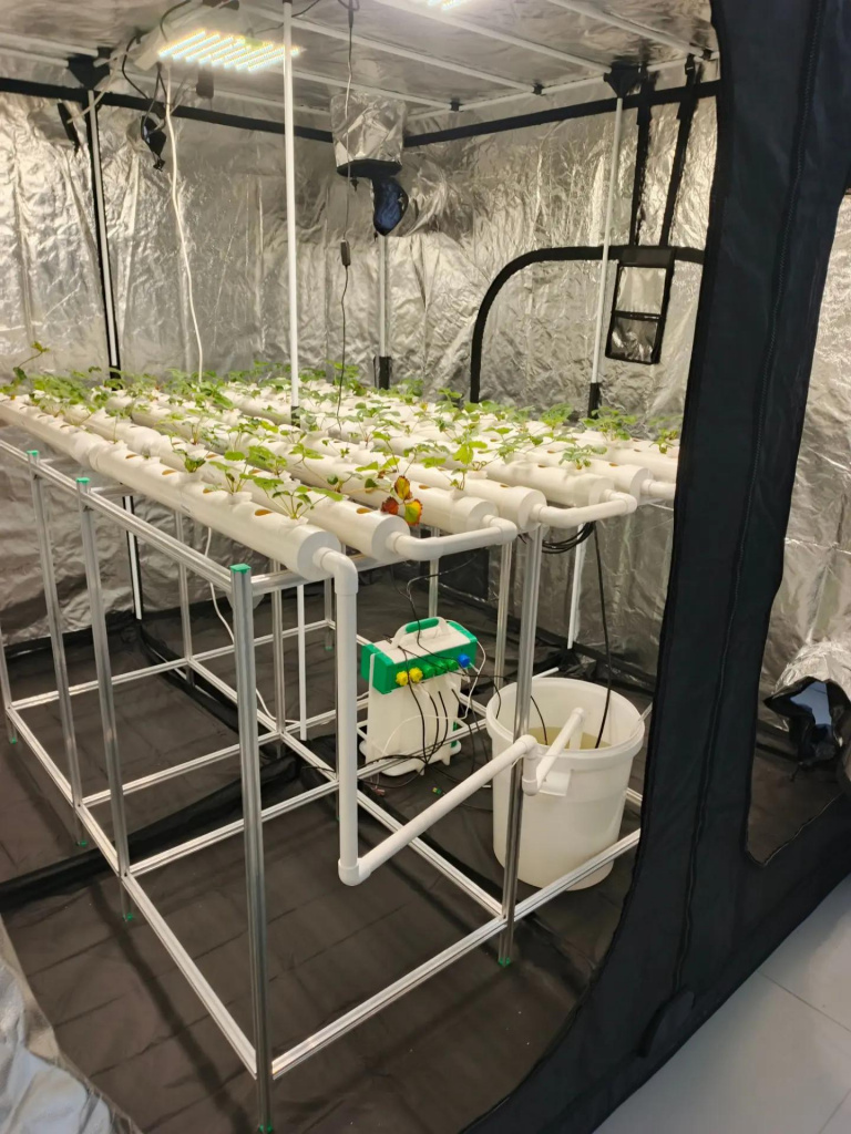 IMG_20261015_130555.jpg IMG_20261015_130555.jpg